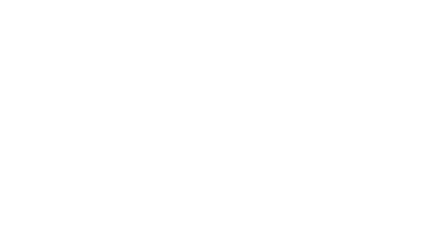 DieZ Gastronomía